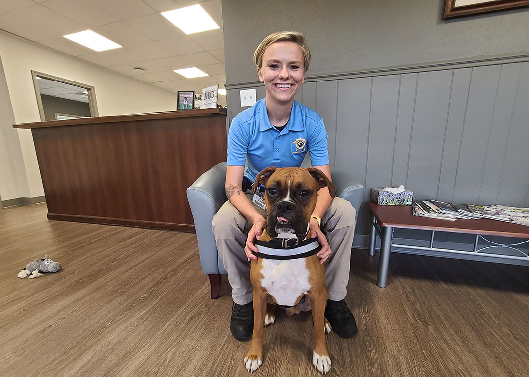 Calming companion: Simon joins Hamilton County Coroner’s Office as new therapy dog, will provide comfort to – Current in Carmel