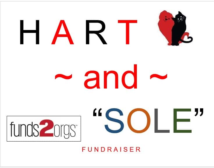 HART and 'Sole' shoe collection drive to raise money for homeless dogs and cats in Florence – LINK nky