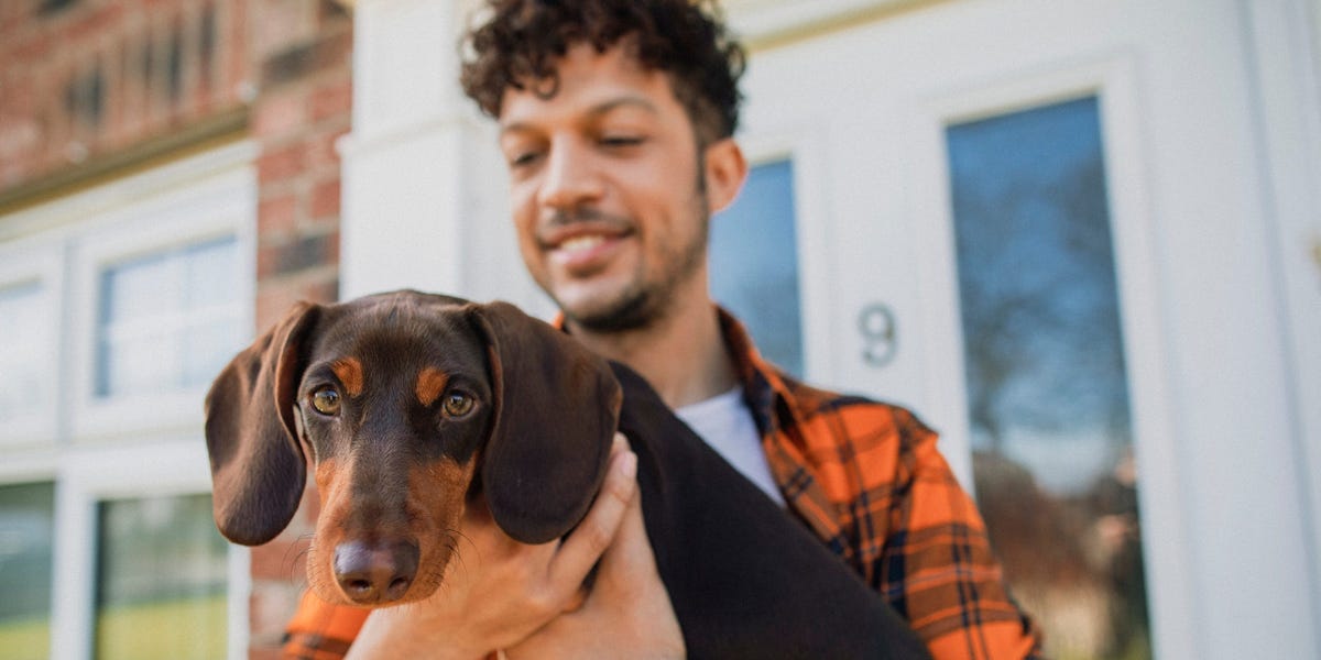 Pet Insurance and Surgery: What Types Are Covered, How It Works – Business Insider