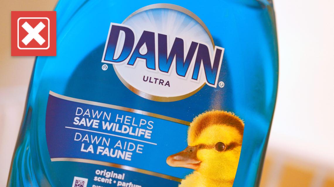 No, Dawn dish soap should not be used as a regular flea treatment for pets – ABC10.com KXTV