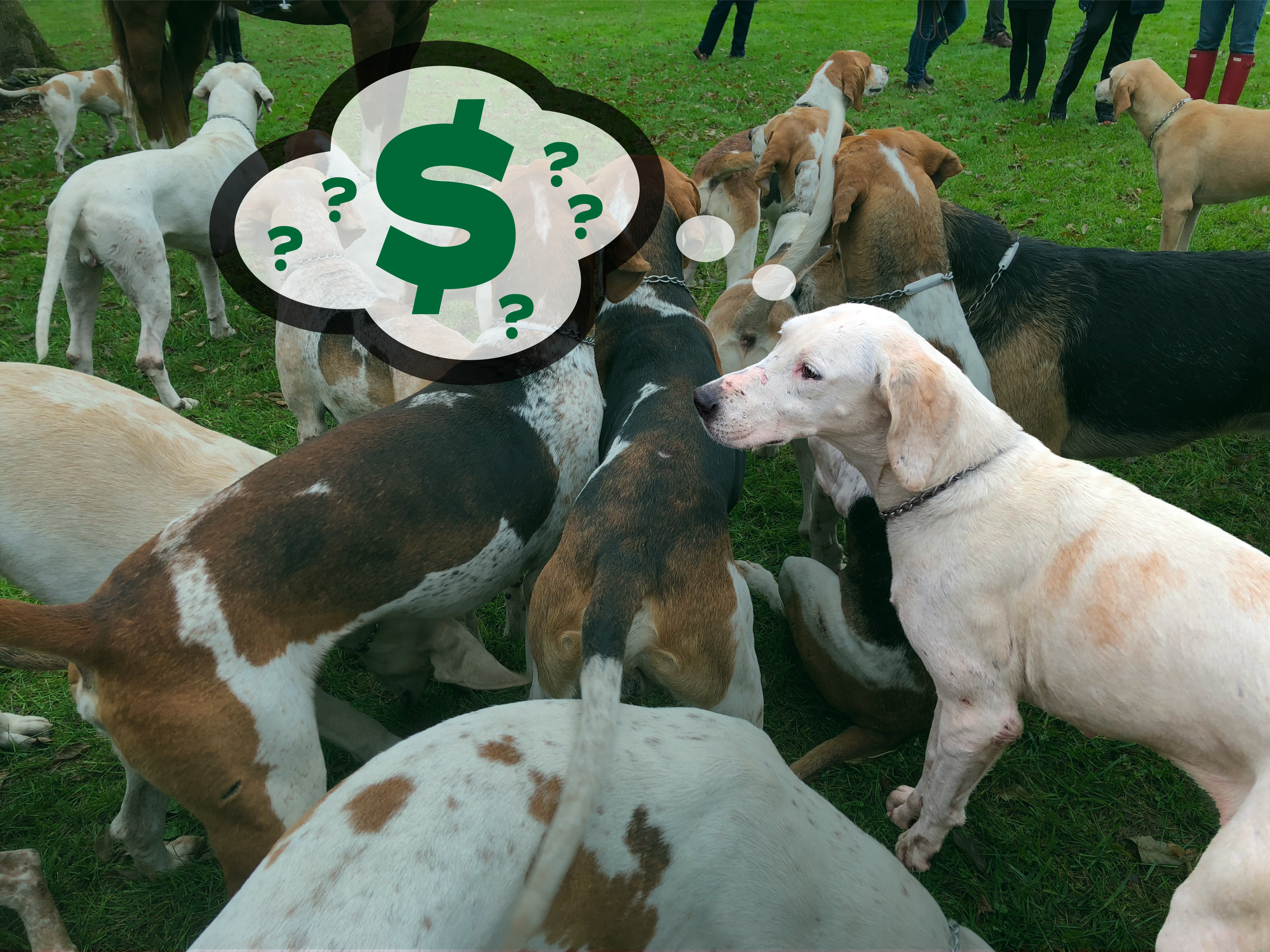 Canine costs in Evanston: How expensive is it to own a dog? – Evanston RoundTable