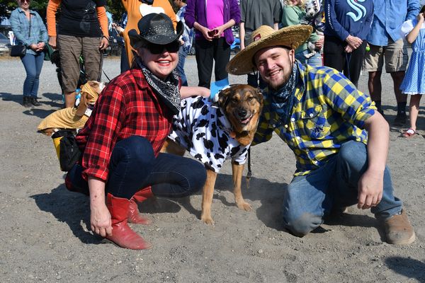 Record turnout as canines 'put on the dog' at Halloween Howl – My Edmonds News