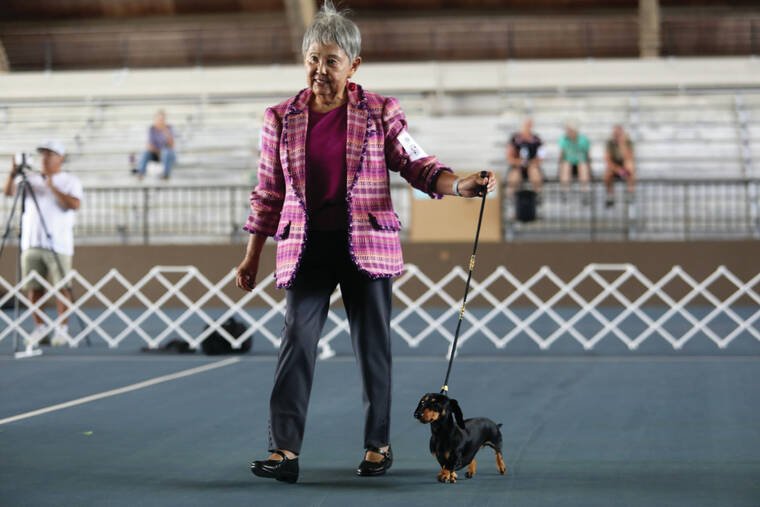 Dog show continues today in Hilo – Hawaii Tribune-Herald