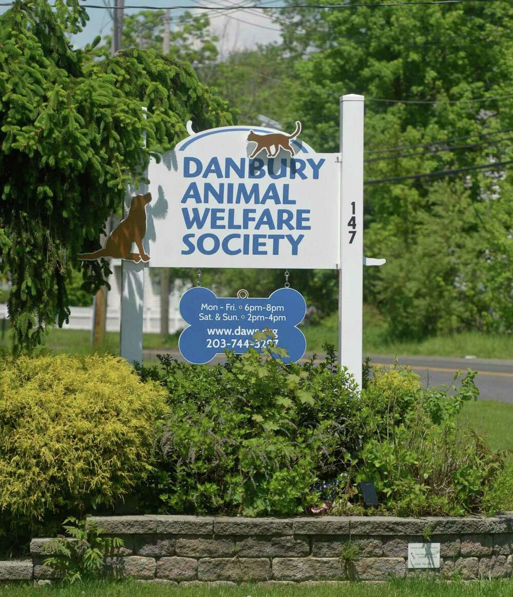 DAWS in Bethel, CT works to raise funds for renovation, ongoing operations – Danbury News Times