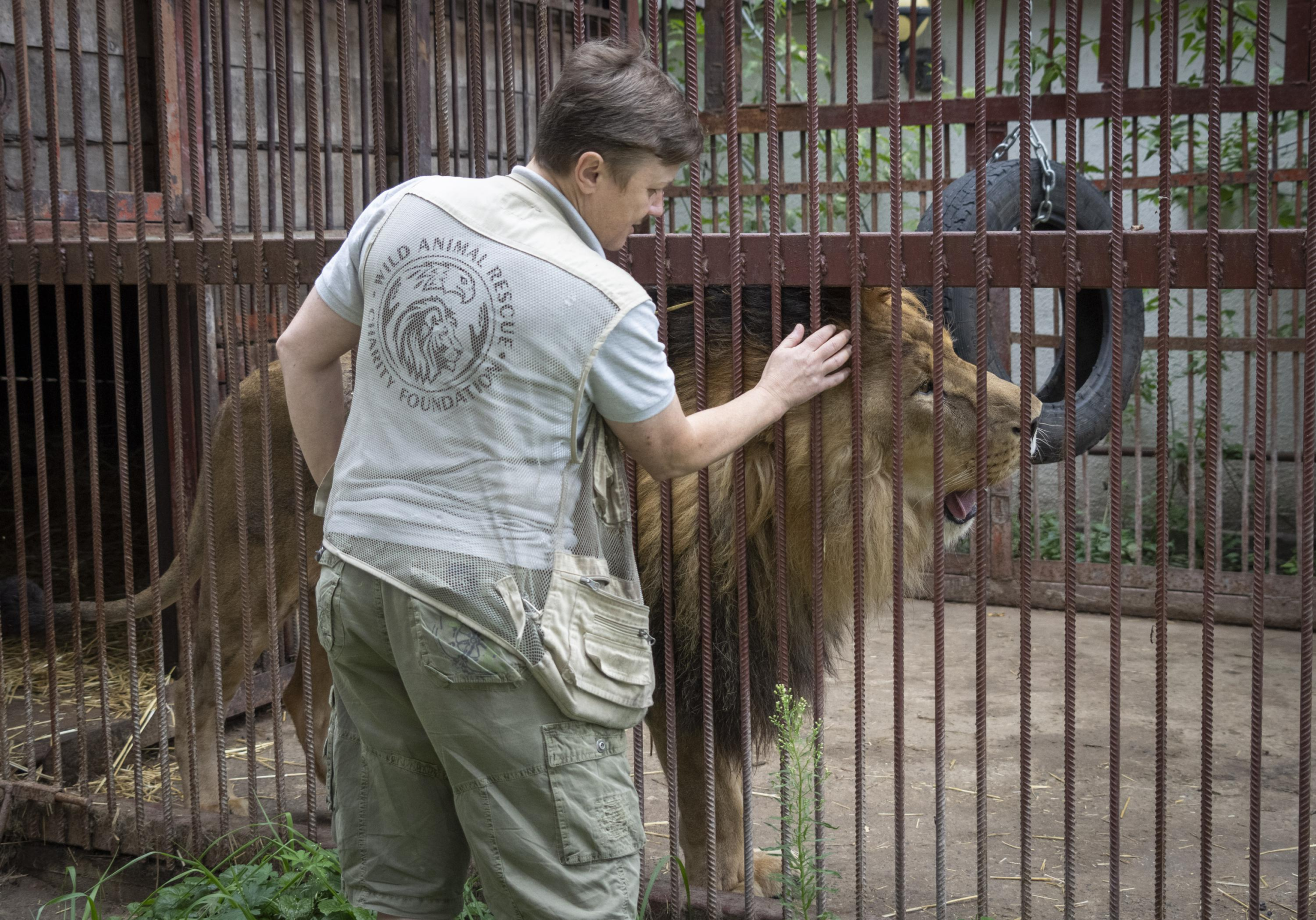 Ukrainian risks her life to rescue wild animals from war – The Associated Press – en Español