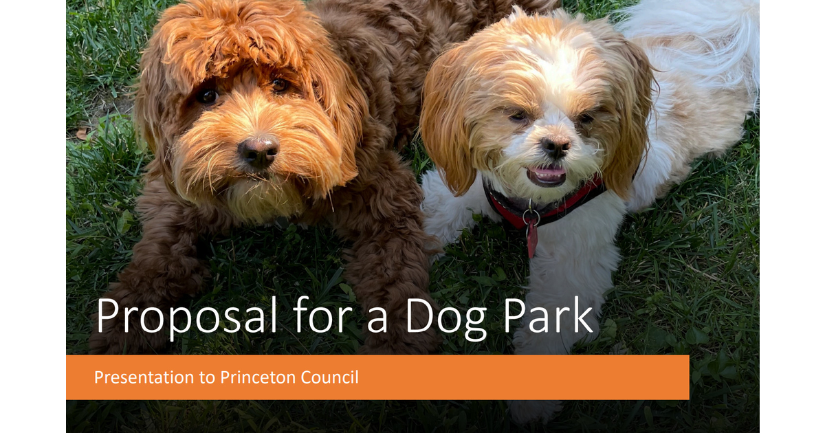 Good News for Dog Lovers — Princeton Council Won't Let the Sleeping Dog Park Issue Lie – TAPinto.net