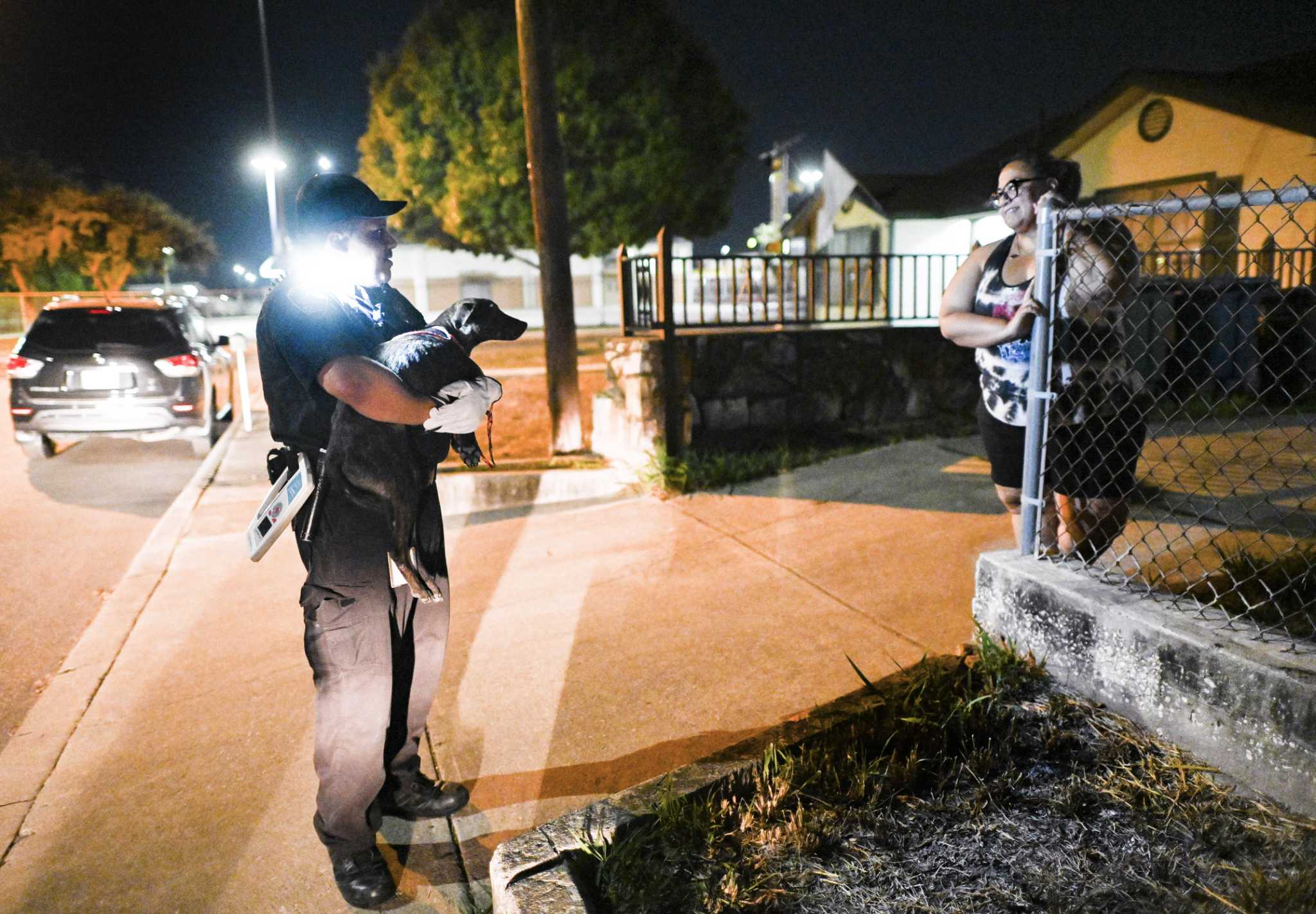 San Antonio animal-control officers work the graveyard shift – San Antonio Express-News