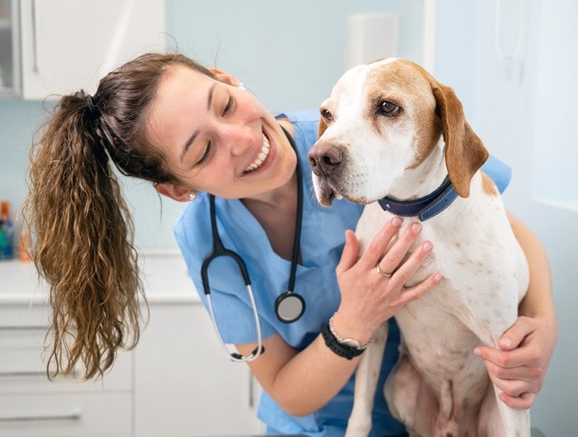 How Often Do You Take Your Dog To The Vet – 96.3 KKLZ