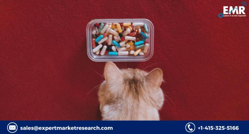 Global Pet Supplement Market To Be Driven By The Increasing Pet Adoption In The Forecast Period Of 2021-2026 – openPR