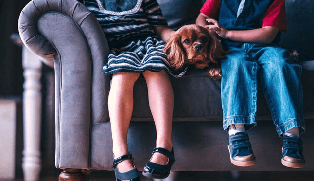 Frederick Uses Therapy Dogs to Lend a Paw to Student Mental Health – Conduit Street – Conduit Street