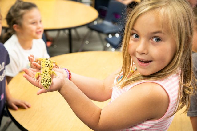 Classroom Pets Provide Social, Emotional Support For Students – Riverbank News