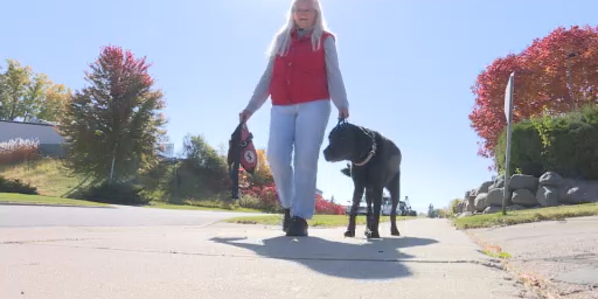 Woman says she can’t find a place to live because she has a service dog – KKTV