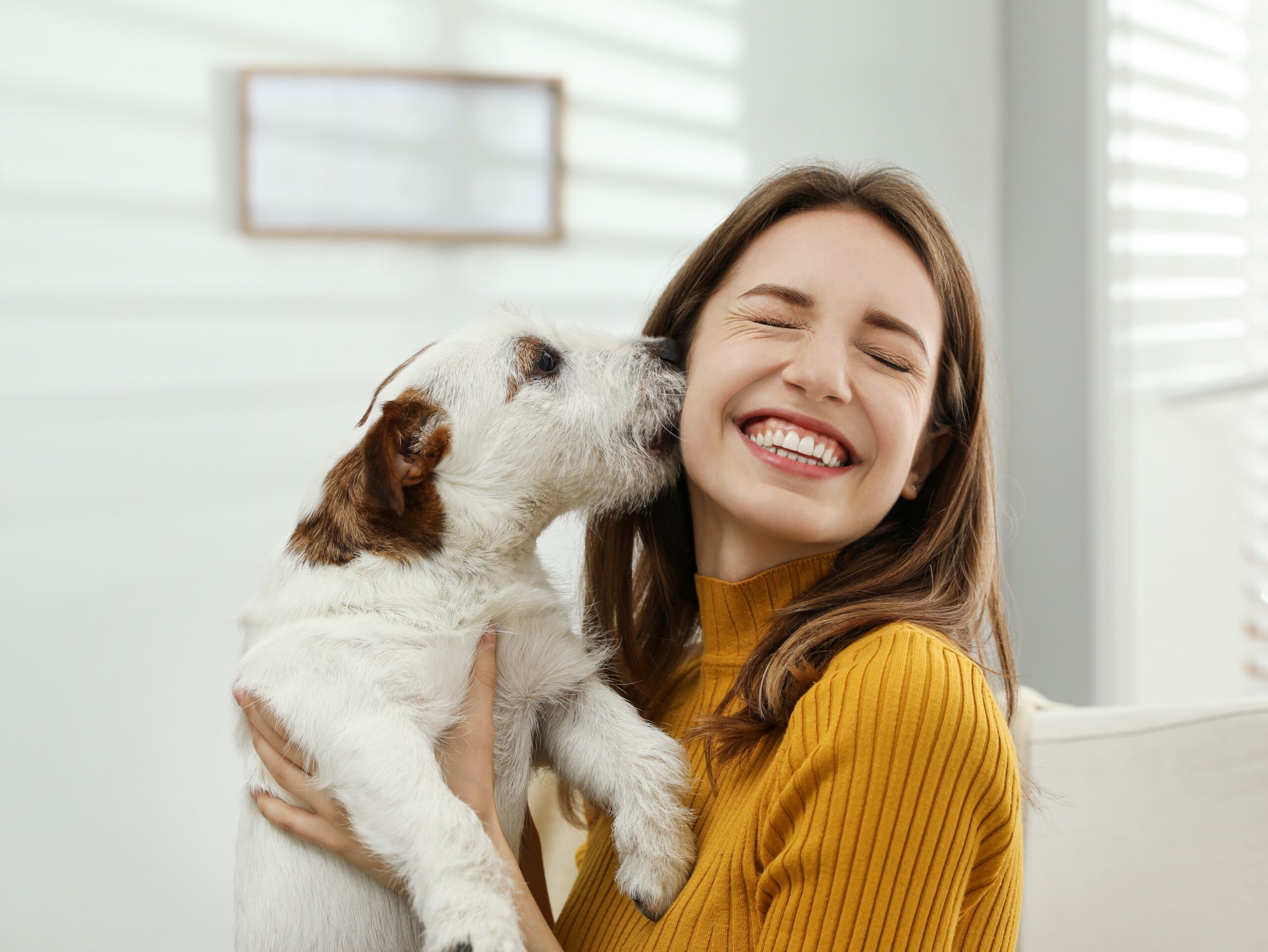 People select their dogs according to their own personality – Earth.com