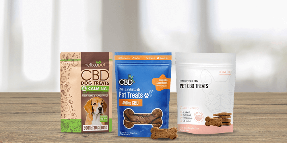 5 Best CBD Dog Treats of 2022 – Great Tasting & Relaxing Delights – AMNY