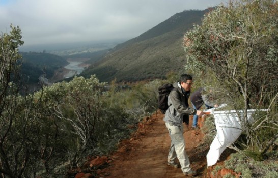 Study shows expanding tick populations in Colorado – LymeDisease.org