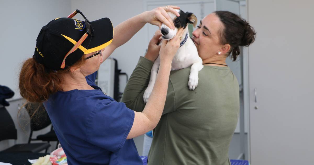 RSPCA free clinic for pets – Bunbury Mail