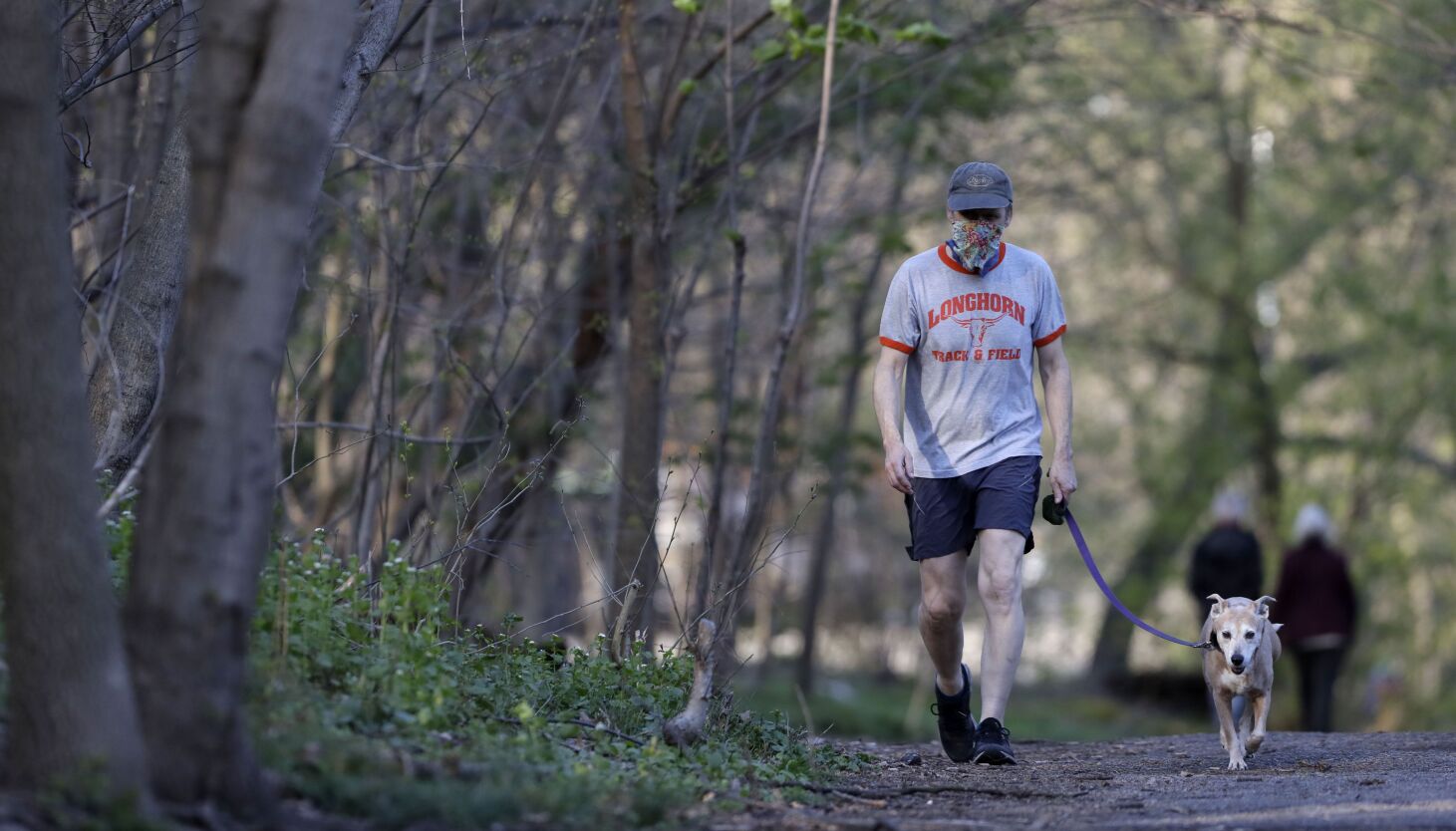 Physical activity lowers dementia risk in people and their dogs – Deseret News