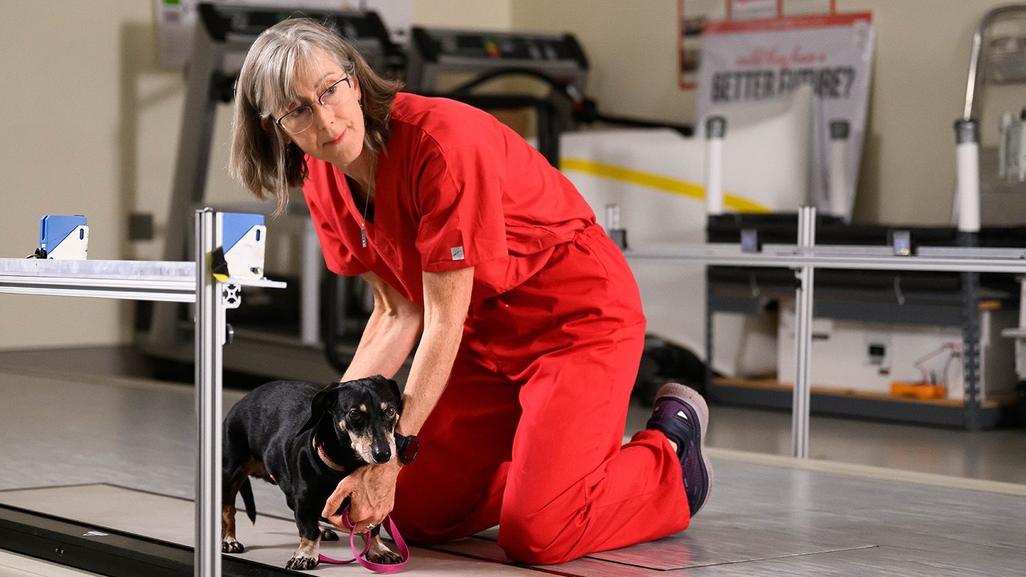 Pioneering better care for aging dogs – and their owners – is NC State professor's mission – WRAL TechWire