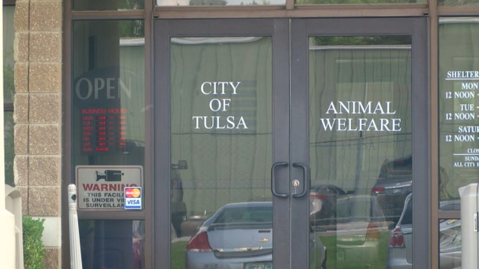 Tulsa Animal Welfare 'bursting at the seams,' to offer free pet adoption – KTUL