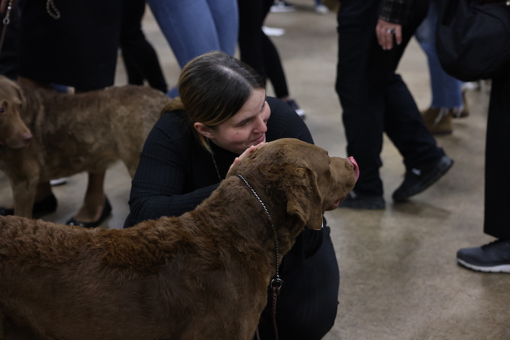 19-Year-Old Escapes Bombing in Ukraine; Finds New Hope Showing Dogs – American Kennel Club – American Kennel Club