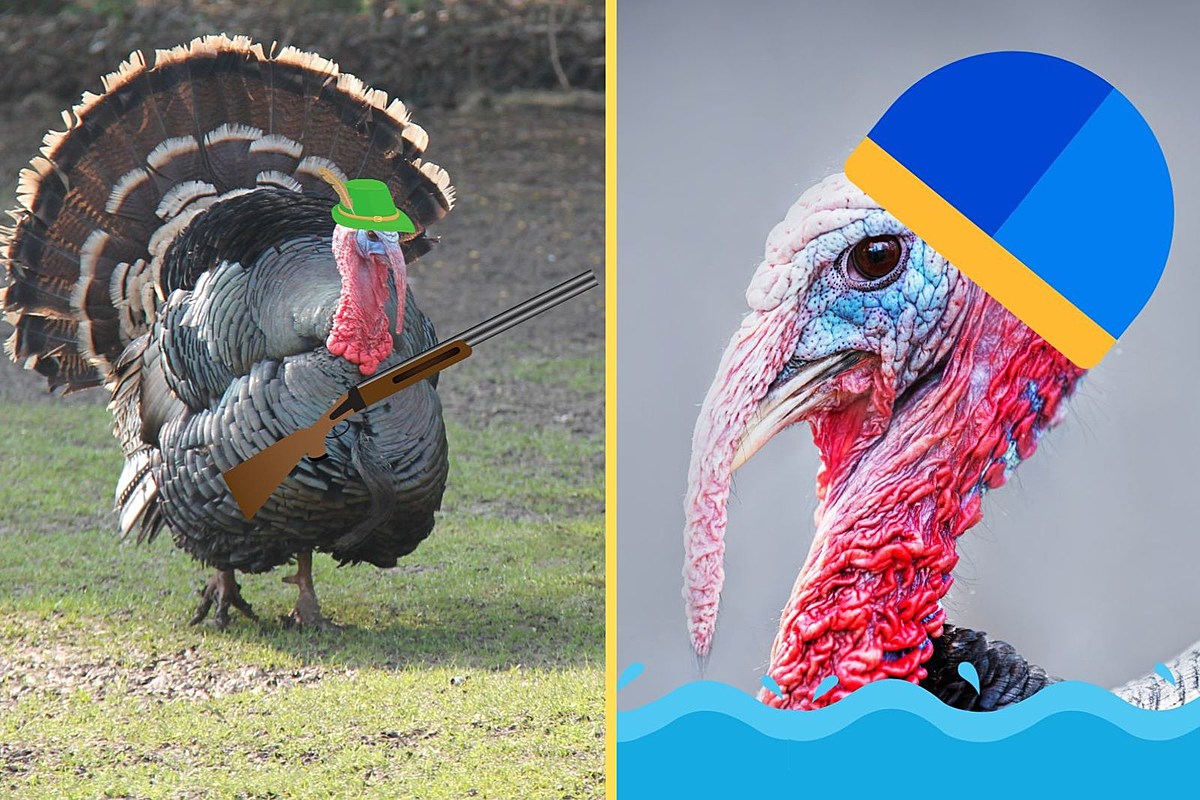 5 Fantastic NY Turkey Facts Just In Time For Thanksgiving – WRRV