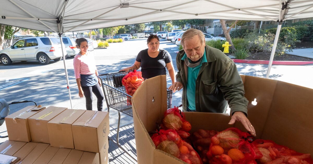 Photo essay: Thanksgiving food banks provide help for the holidays – Lookout Santa Cruz