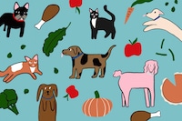 Holiday foods you can and can't share with dogs and cats – The Washington Post