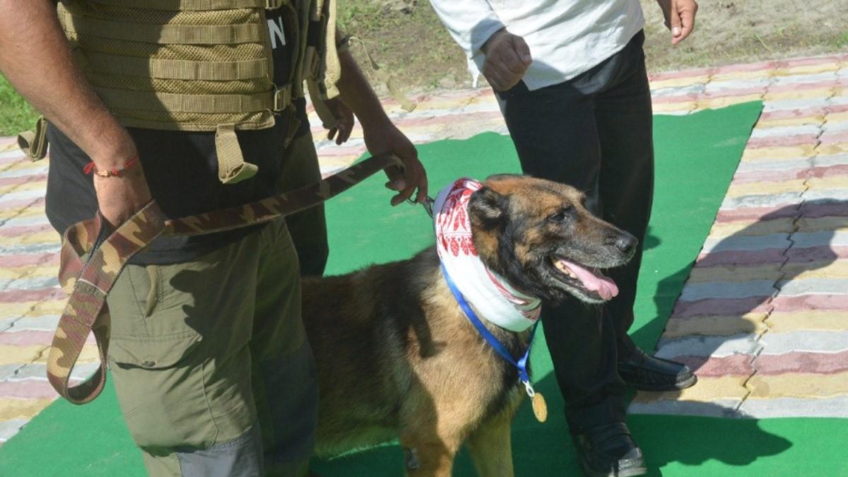 Zorba, India's first dog deployed to track down poachers, dies in Guwahati – Business Today