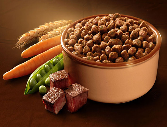 Dog Food Market Size, Share, Trends Analysis and Forecast 2022-2027 – Digital Journal