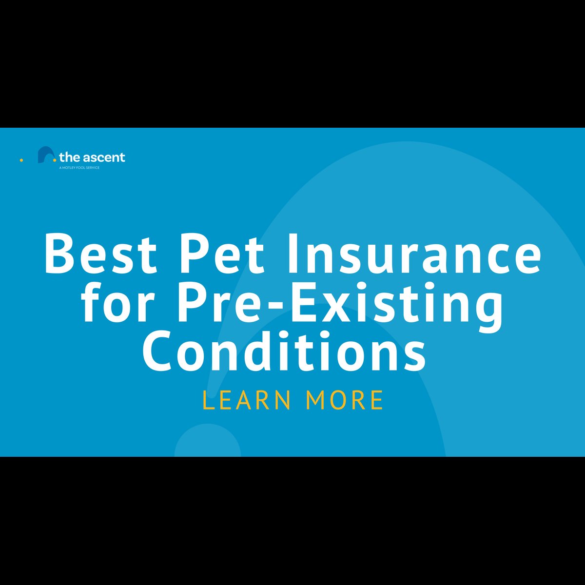 Best Pet Insurance for Pre-Existing Conditions – The Motley Fool