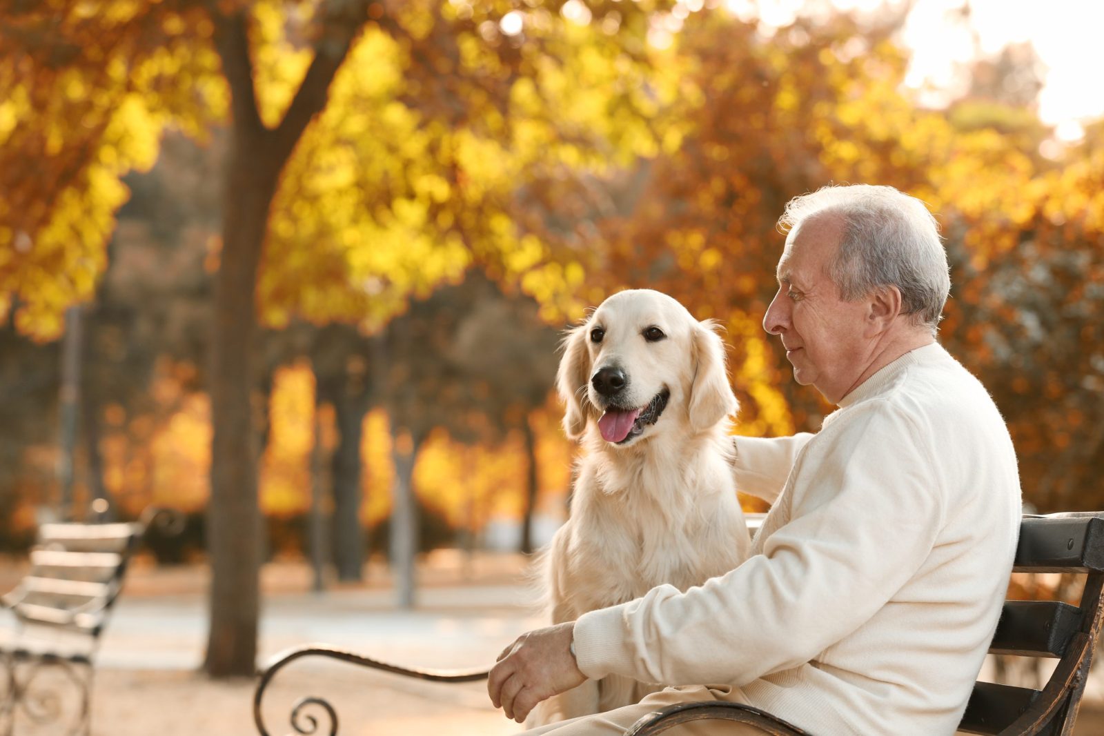 Missing Dog Found Sitting Next to Elderly Man Keeping Him Company – One Green Planet