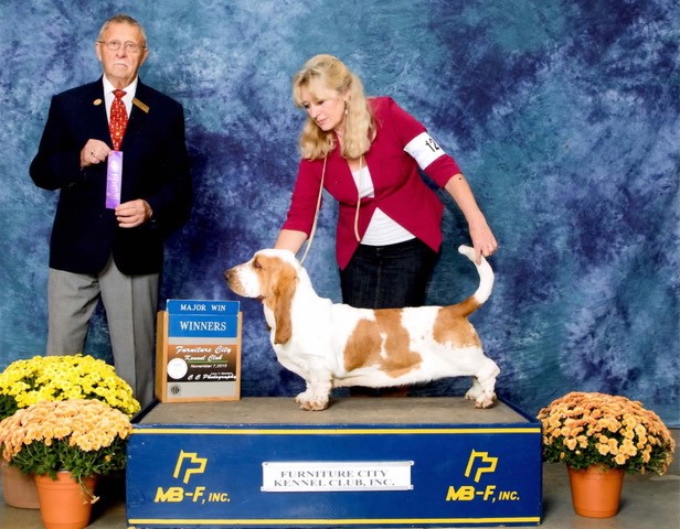 AKC Breeder of Merit: Recognizing Breeder Success with Multiple Levels – American Kennel Club – American Kennel Club