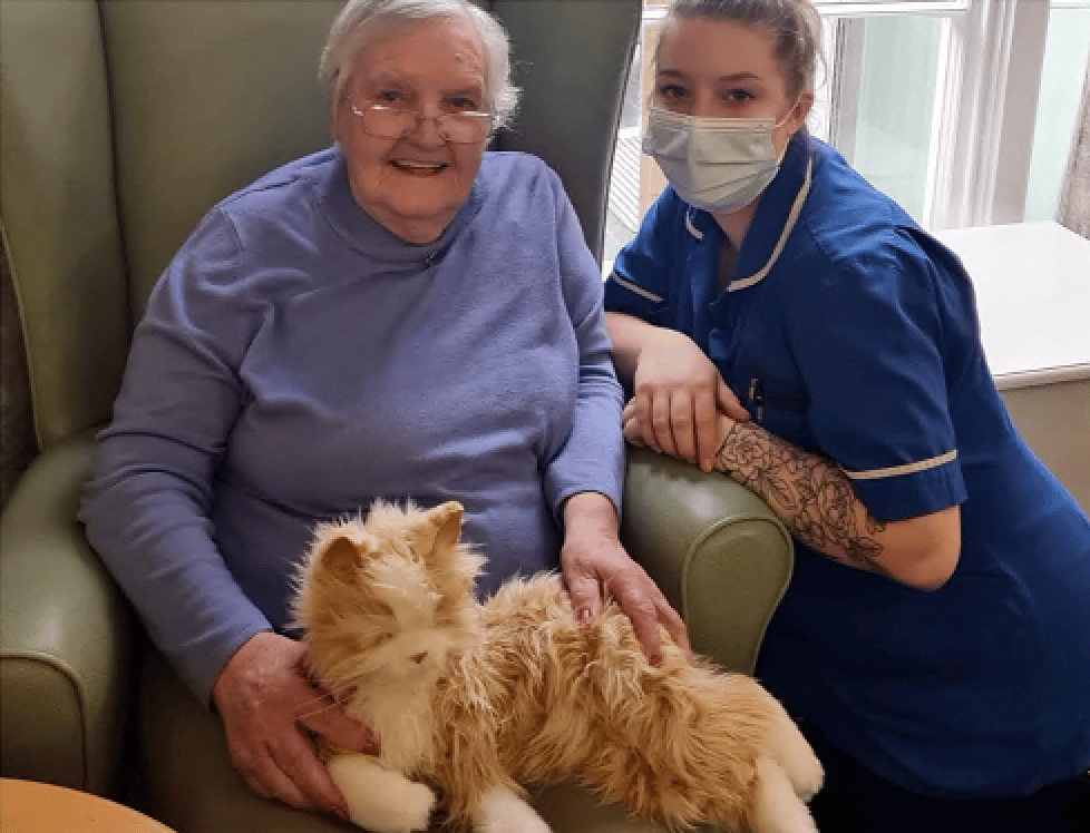 Bishopsteignton care home finds creative way to maintain its pet therapy – Dawlish Today