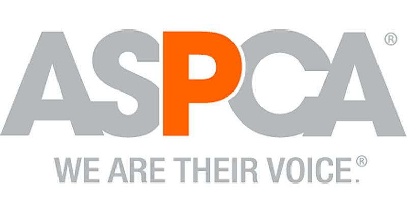 Nearly 100 Large Breed Dogs Rescued from Horrific Conditions Flown to ASPCA Rehabilitation Facility in Milestone Transport – PR Newswire