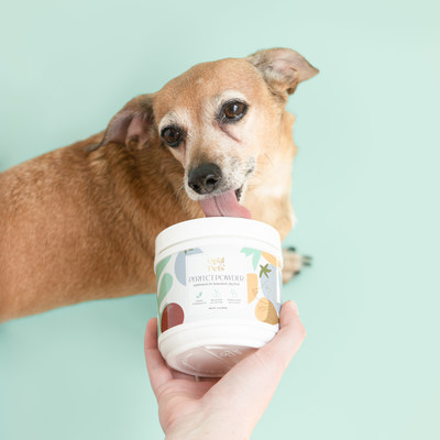 Opal Pets Promotes Fresh, Plant-Based Nutrition for Dogs – Yahoo Finance