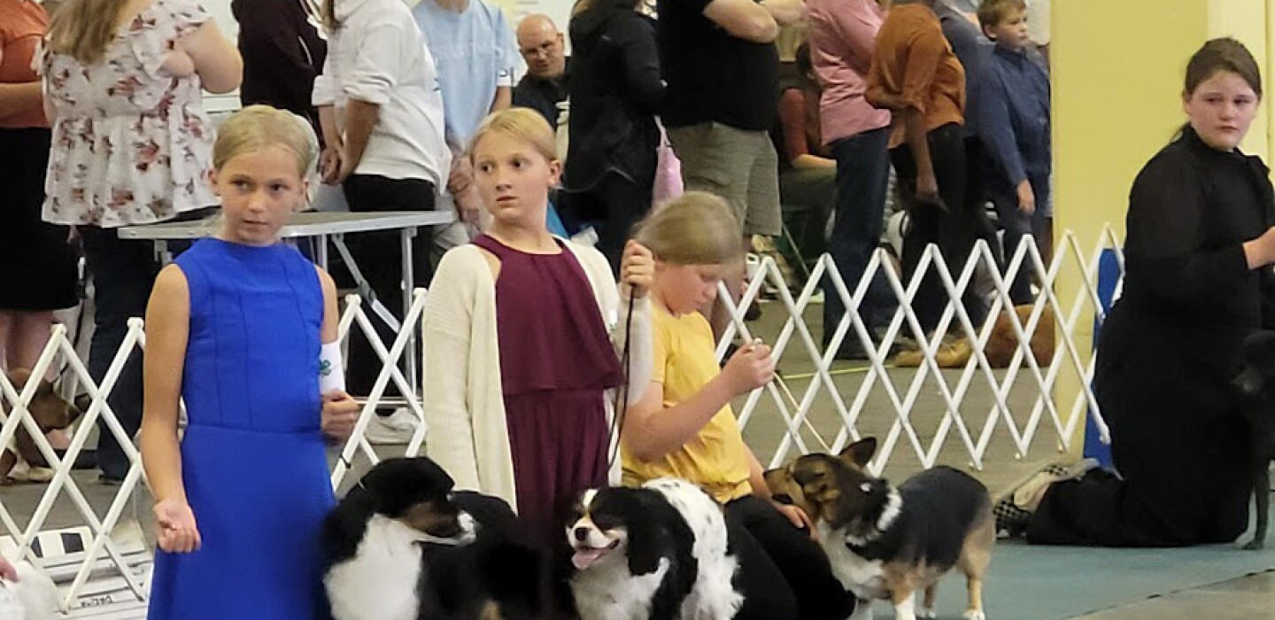 Beltrami County 4-H'ers participate in Minnesota State Dog Show – The Bemidji Pioneer