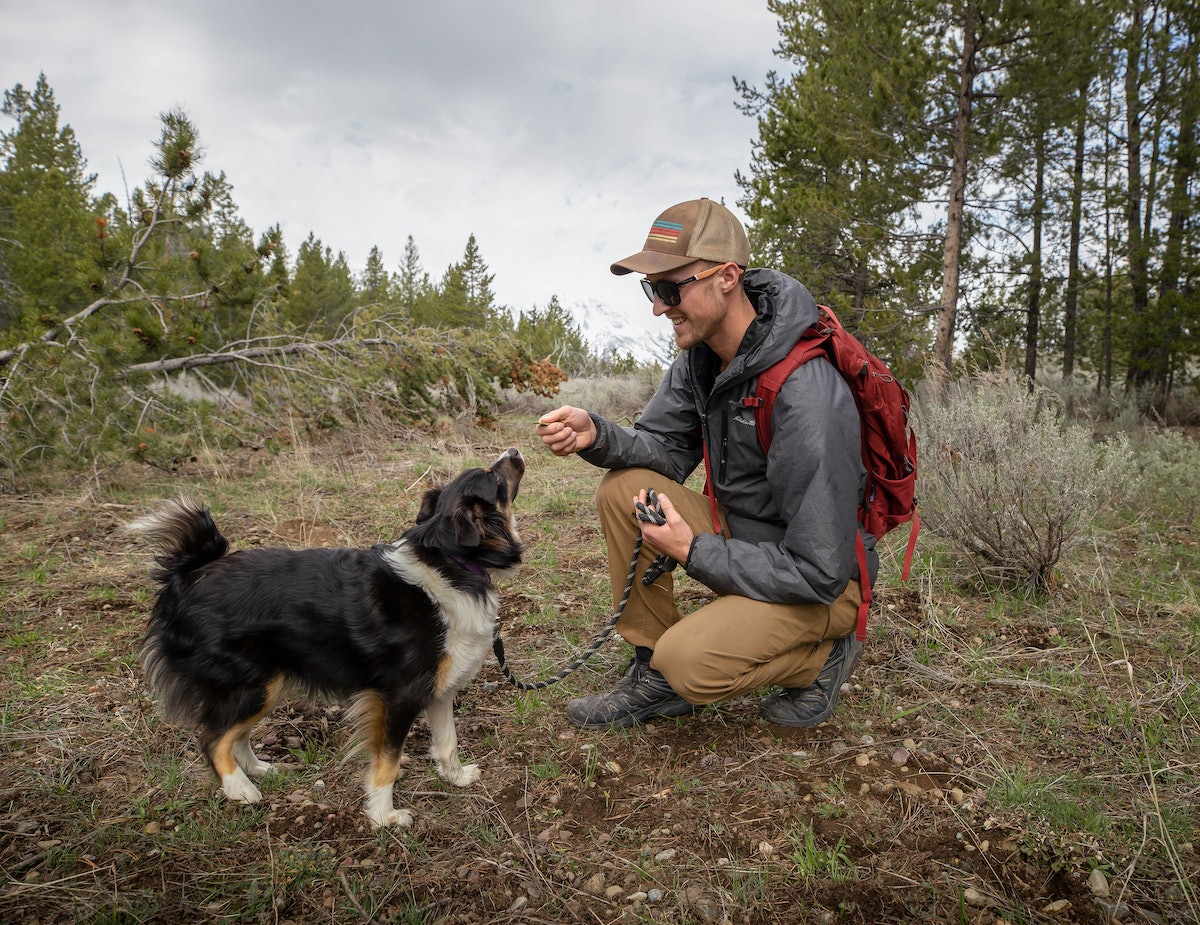 If you're dog is a picky eater, air-dried dog food could be the answer – Mic