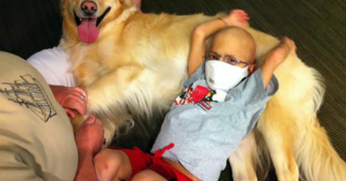 Children's Healthcare of Atlanta's first therapy dog Casper dies –  The Atlanta Journal Constitution