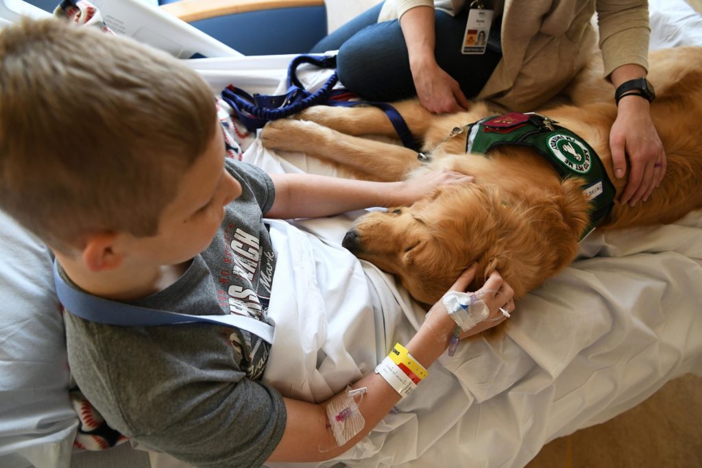 NutriSource Announces Support of Boston Children's Hospital PawPrints Program – Pet Age