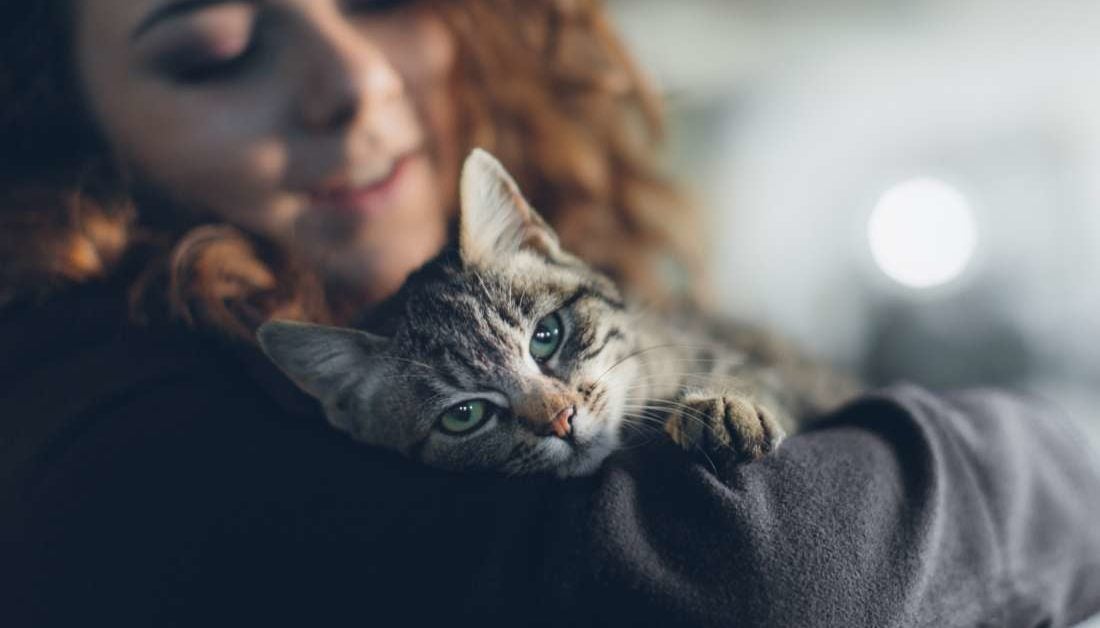 More evidence that pets benefit mental health – Medical News Today