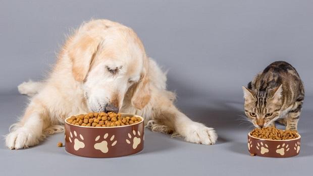 Global Pet Food Market Size, Segments, Outlook, and Revenue Forecast 2022-2028: Ken Research – openPR