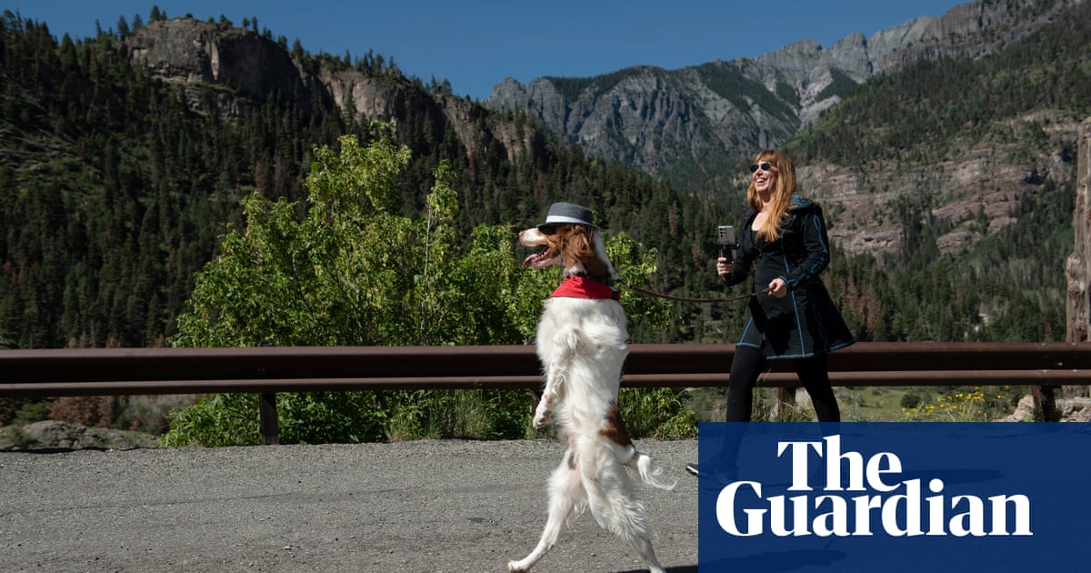 The dog that walks like a human – and other precocious pets: ‘We didn’t teach him, it was his idea’ – The Guardian