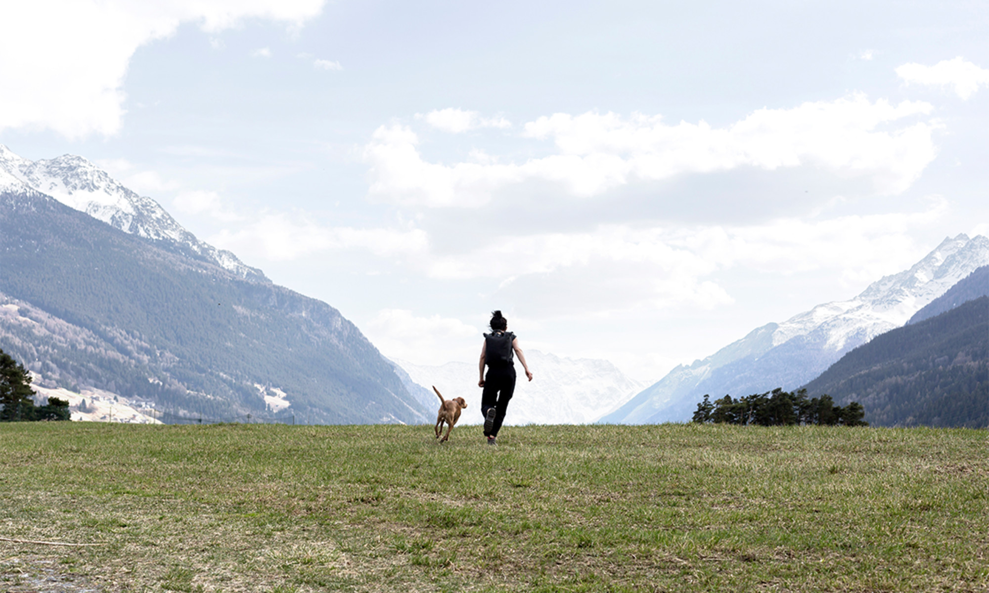 Here's Why Feeding Your Dog Fresh Food Is Better For Pets … – mindbodygreen