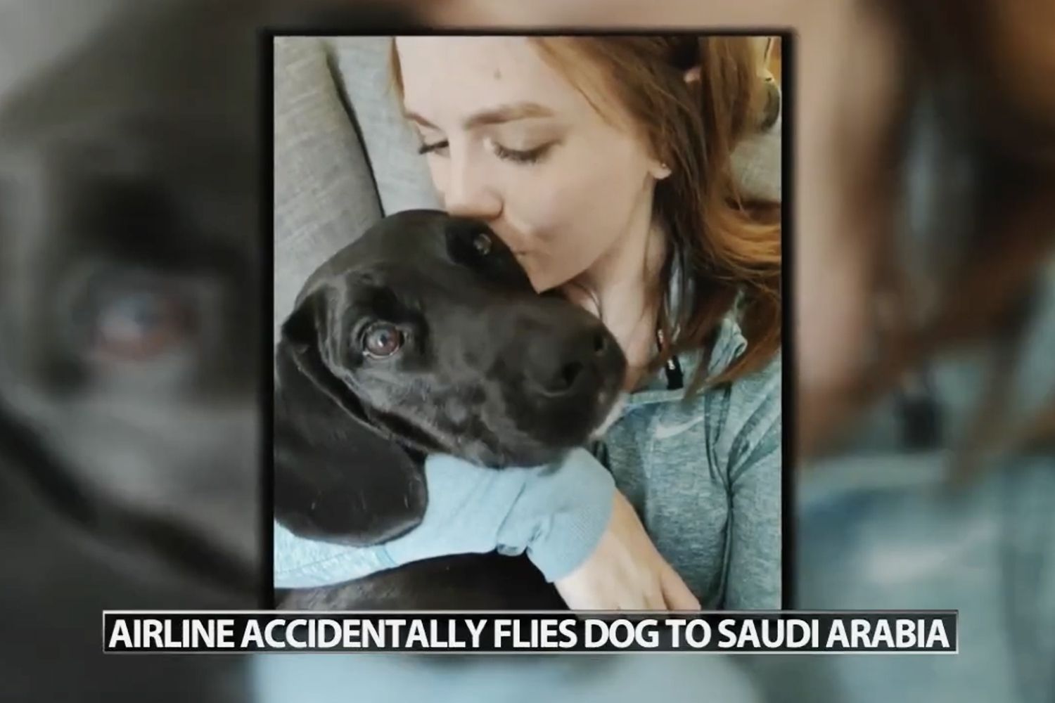 Nashville Family's Dog Flown to Saudi Arabia Instead of Tennessee … – PEOPLE