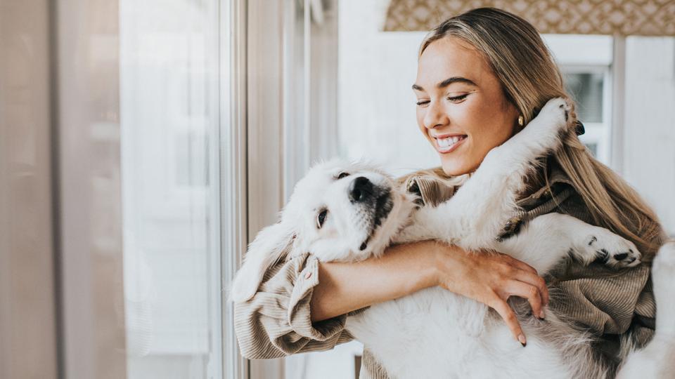 Is Pet Insurance Worth It In 2023? – Forbes Advisor – Forbes