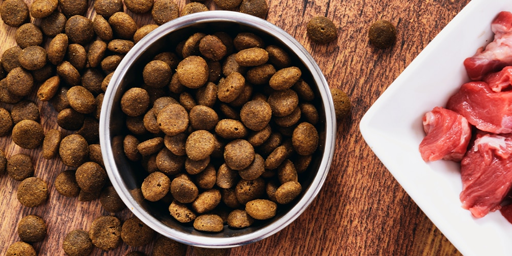 Best Puppy Food for Large Breeds in 2023 – Expert Review of Healthy & Nutritious Products – The Dallas Morning News