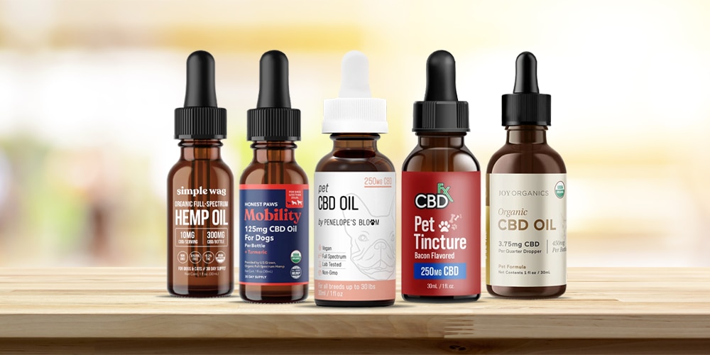 Best CBD Oil for Dogs with Arthritis in 2023 – Top 5 Pet Care Products – The Dallas Morning News