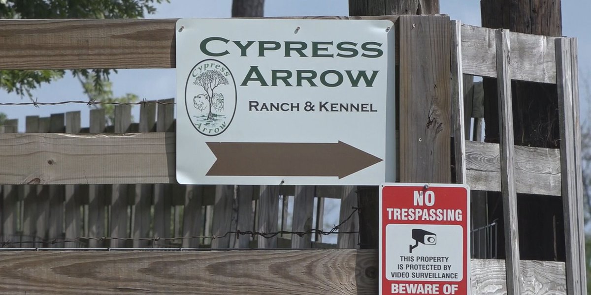 Civil lawsuit filed against Cypress Arrow K9 owner Tina Frey … – KALB