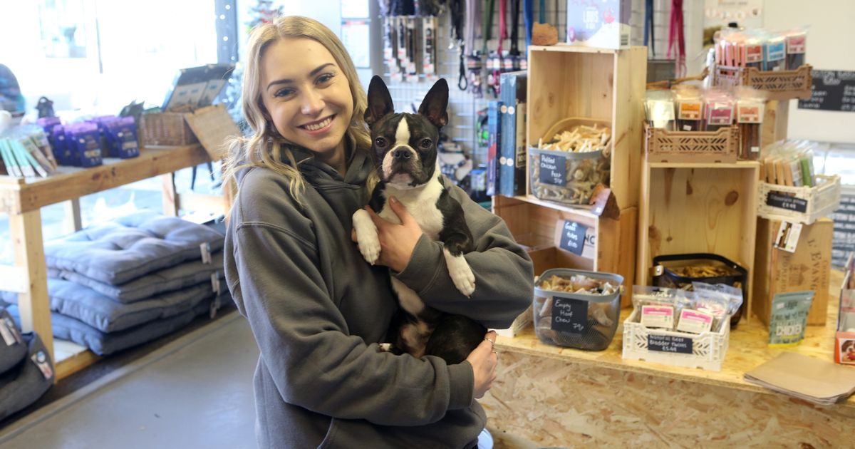 Northumberland woman achieves dream of opening Whitley Bay pet shop aged 22 – with help from her dog – Chronicle Live