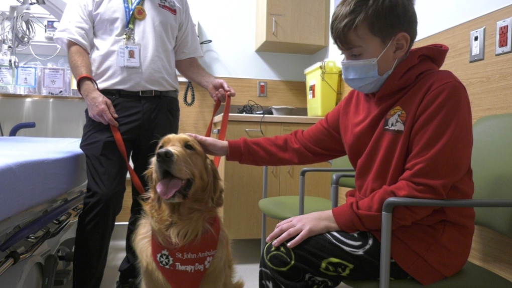 St. John Ambulance therapy dogs spread a little joy | CTV News – CTV News Calgary